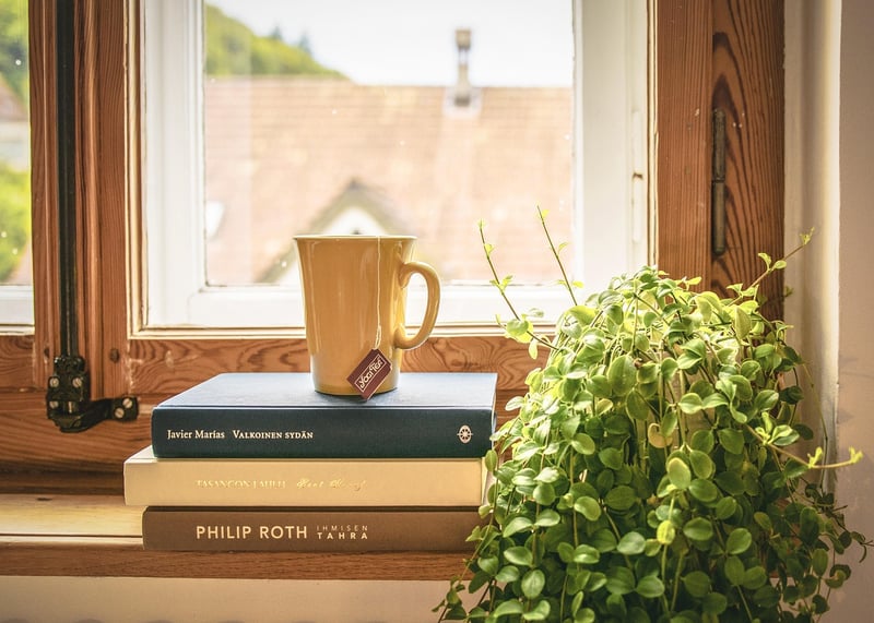 Herb Garden on a Ladder